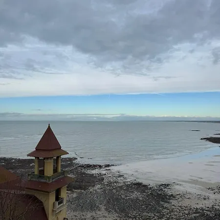 Les Mouettes - Centre - A 500m Du Port 公寓 格朗维尔